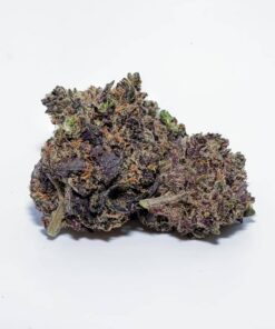 Buy Acai Gelato Strain UK