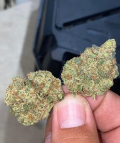 Buy Galactic Candy Strain UK