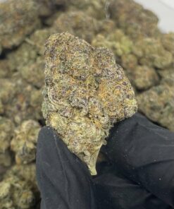 Buy Grape Soda Strain UK