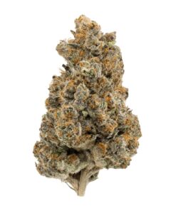 Buy RS 11 Strain UK
