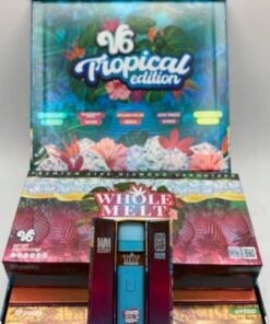 Buy Whole Melt V6 Disposable UK