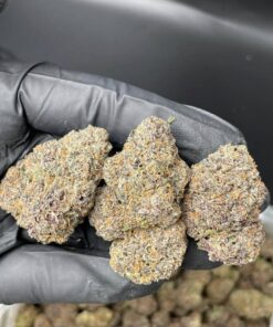 Buy Zaza strain UK