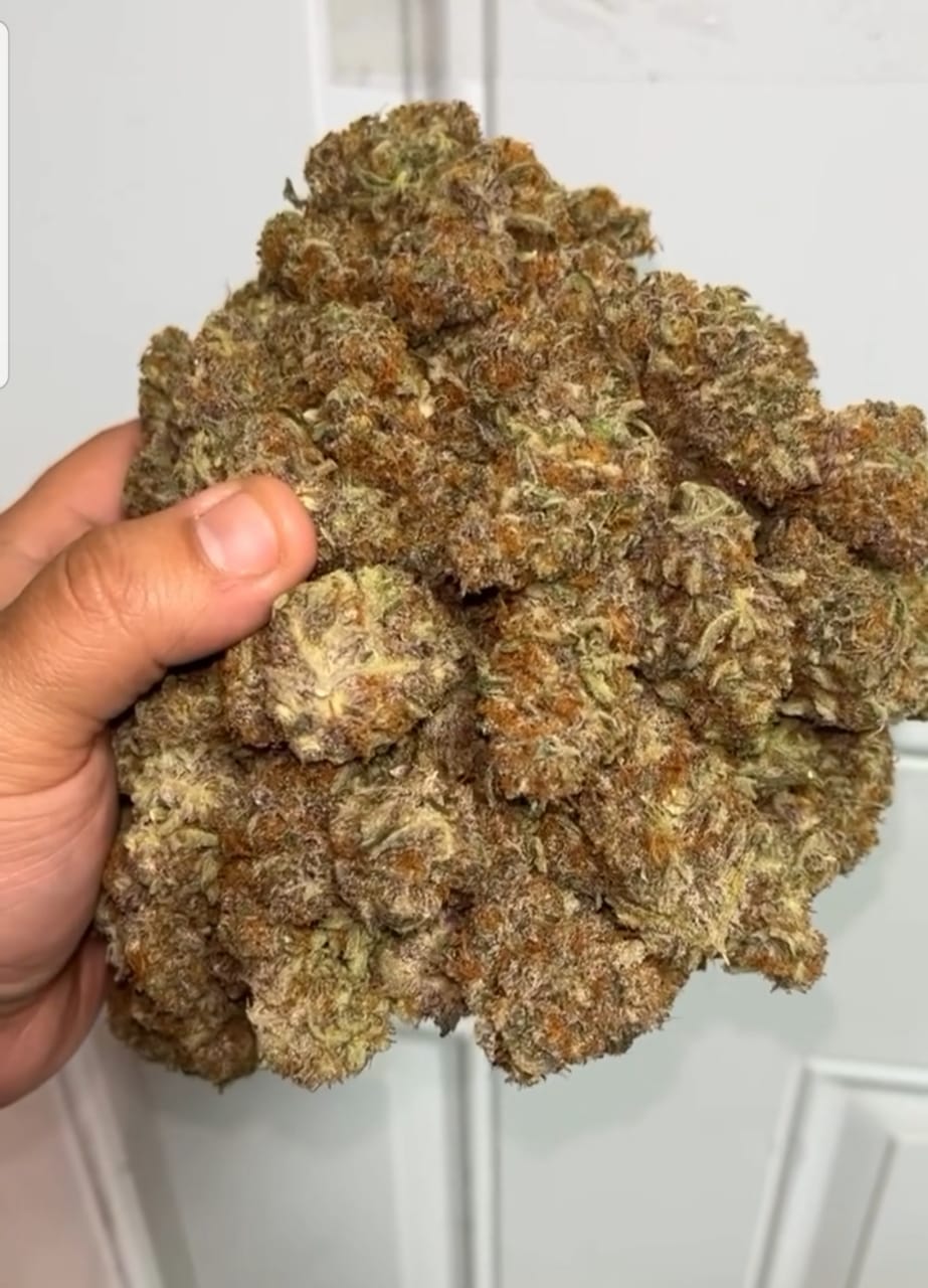 Buy Zaza strain UK - Image 4